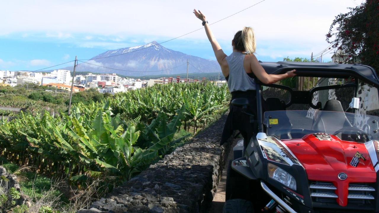 Los Huertos Conect With The Nature & Relax イコー・デ・ロス・ビノス エクステリア 写真