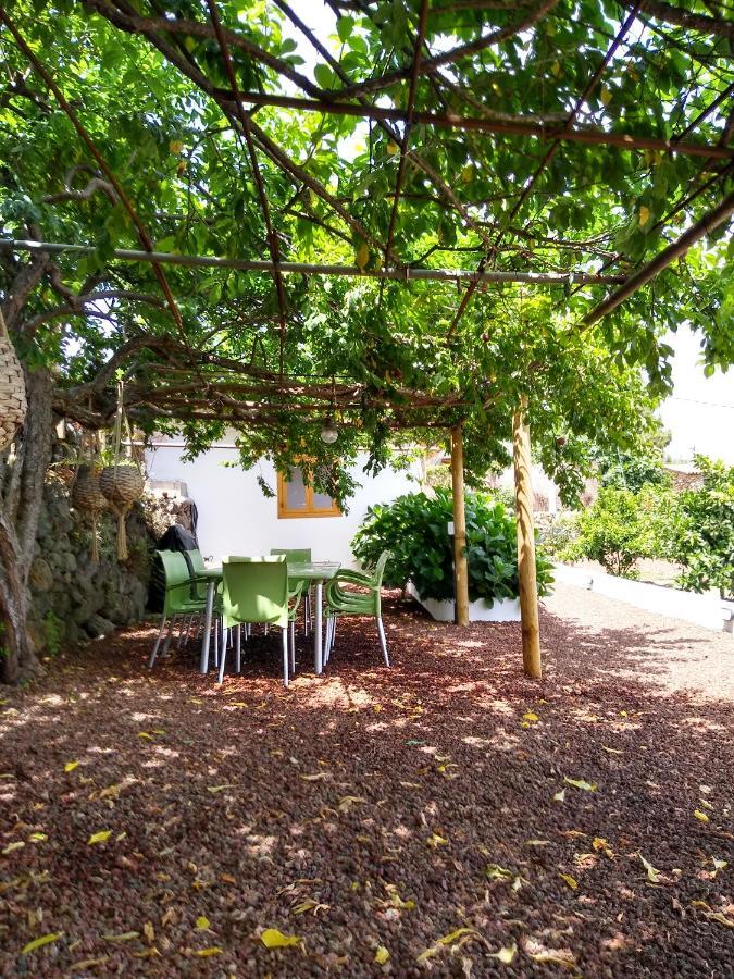 Los Huertos Conect With The Nature & Relax イコー・デ・ロス・ビノス エクステリア 写真