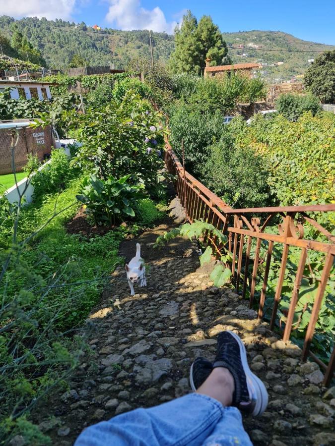 Los Huertos Conect With The Nature & Relax イコー・デ・ロス・ビノス エクステリア 写真