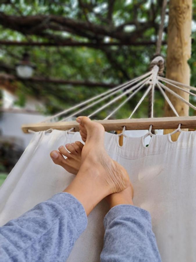 Los Huertos Conect With The Nature & Relax イコー・デ・ロス・ビノス エクステリア 写真